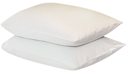 Pure Hotel Cotton Twin Set Luxury Pillow