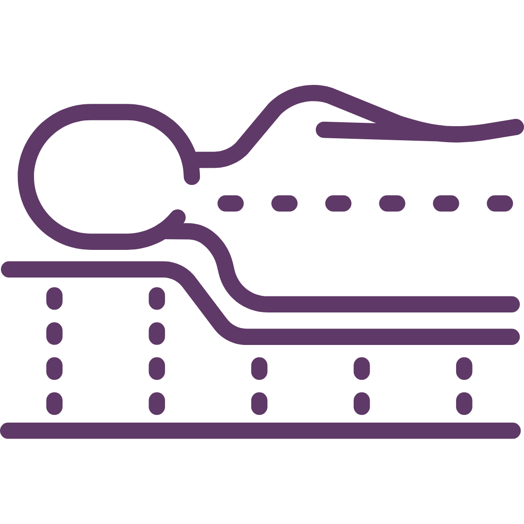 Support and Alignment icon