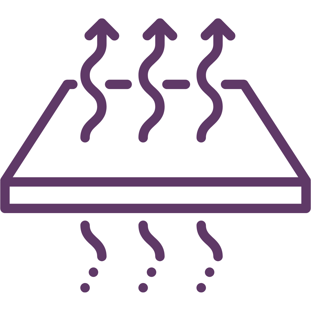 Temperature Regulation icon